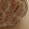 Trauben: Detail 3